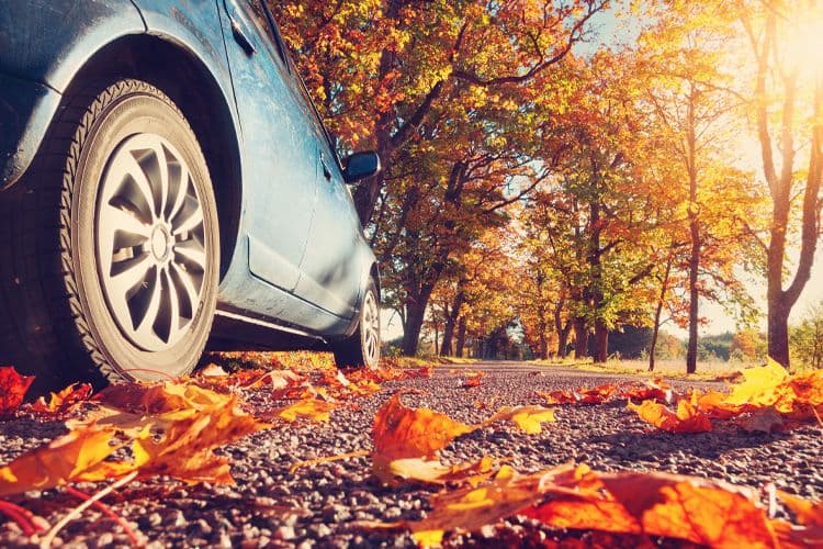 An image uploaded to Strapi called Automn_Destinations_750x500